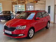 Skoda Fabia Kombi Ambition Plus Smartlink PDC NSW 5JGA - Ichenhausen