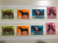 Pferde 1967 Michel-Nr.: 1302-1305 Briefmarken DDR - Zwickau