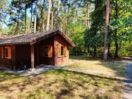 Ferienhäuser in der Colbitz-Letzlinger Heide - fester Wohnsitz möglich - Colbitz