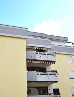 Endlich Platz für die große Familie - Singen (Hohentwiel)