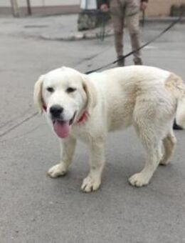 Hallo, ich bin Annabelle! - München