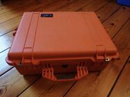 Peli Case Peli Protektor 1600 in orange - Essen