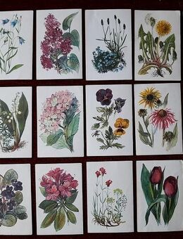 137 alte Köllnflocken Bilder mit liebevoll gemalten Motiven zu verschiedenen Themen - Niederfischbach
