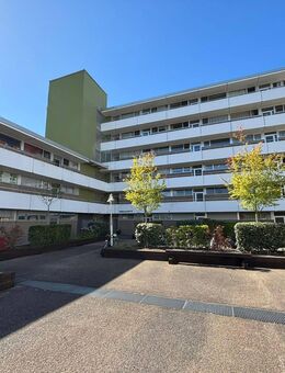 Sofort bezugsfrei: Gepflegtes Apartment mit Loggia in Kerpen - Kerpen (Kolpingstadt)