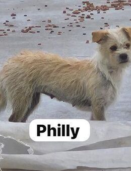 Philly mit Bruder ausgesetzt - Berlin