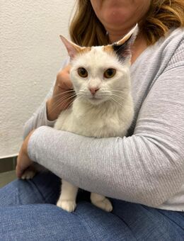 Rouse; mit viel Liebe im Gepäck - Geilenkirchen