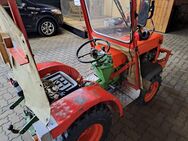 Trecker Kompaktschlepper Agria Typ 4800 - mit Schneeschild - Duderstadt