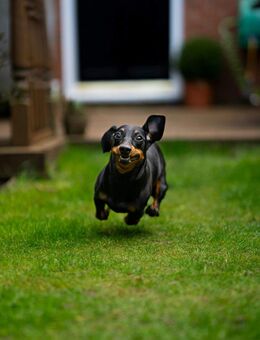 Bauen mit Vertrauen: Die Zukunft für Ihre Familie - Bissendorf