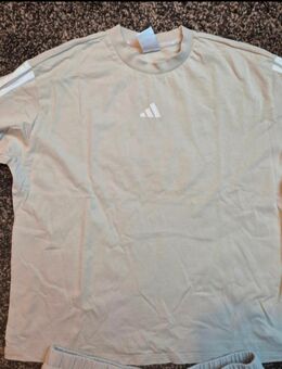 Adidas T Shirt Größe XL - Hamminkeln