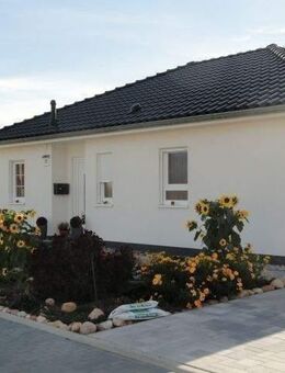 Ostsiedlung Sangerhausen; 2 schöne Grundstücke, 1x Bungalow; 1x Stadthaus - Sangerhausen