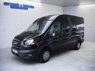 Ford Transit 290 L2H2 Lkw VA Trend KLIMA+Techn-Paket - Freiburg (Breisgau)