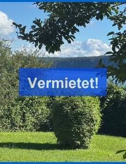 Seesicht Pur, schicke und möblierte 1 Zi.-Wohnung, ca. 100 Meter vom Seeufer entfernt ! - Sipplingen