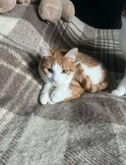 SUNNY ist sehr offen für Menschen ♥️ - München