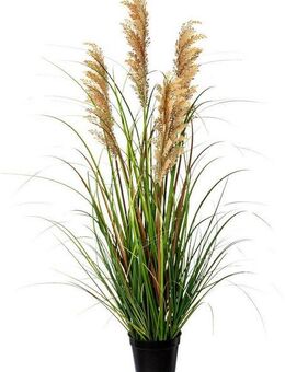 Kunstgras Grasbusch Rispenhirse Gras, Creativ green, Höhe 92 cm