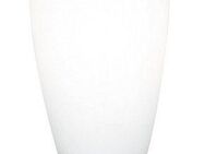 EGLO Tischleuchte SLIM Tischlampe, Nachttischlampe, Wohnzimmerlampe, nickel-matt, weiß, Leuchtmittel wechselbar, ohne Leuchtmittel, Lampe mit Schalter, E14, schlichtes Design, modern, 22x7x10cm