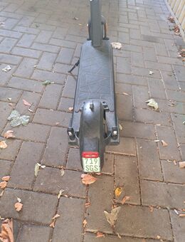 E Scooter VMAX/VX2 Extreme LT zu verkaufen - Zeven