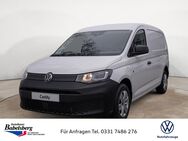 VW Caddy, 2.0 TDI Cargo Maxi, Jahr 2022 - Potsdam