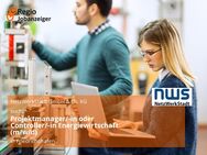 Projektmanager/-in oder Controller/-in Energiewirtschaft (m/w/d) - Friedrichshafen