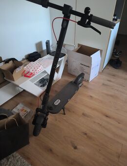 Xiaomi 5 Pro Elektroroller - Redwitz (Rodach)