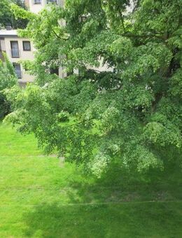 Schöne Wohnung: 3,5-Zimmer-Wohnung mit Balkon - Bottrop