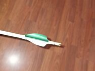 Sovren Olympic Recurve Sportbogen mit viel Zubehör - Höxter