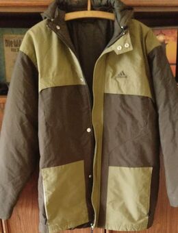 grüne Jacke Kapuzenjacke Adidas Gr176 entspricht gr S - Ludwigsfelde