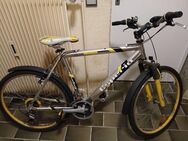 Mountainbike Esperia MTB 7400 – fahrbereit, gepflegt, mit Licht - Münster