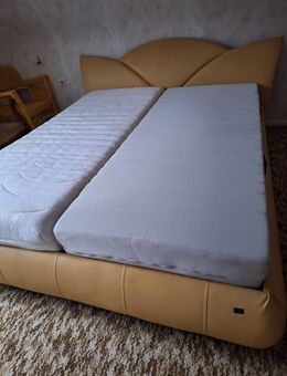 Leder Doppelbett - Bruchweiler-Bärenbach