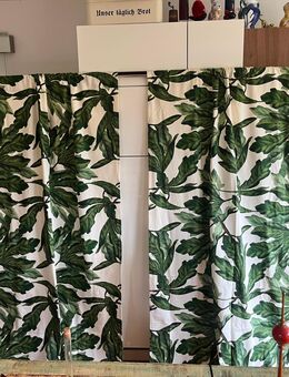 2 Schlaufen Vorhänge - Lindau (Bodensee) Zentrum