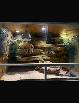 Tolles Terrarium zu verkaufen! - Hamm