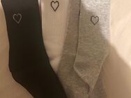 Getragene Socken - Magdeburg