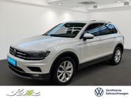 VW Tiguan, 2.0 TSI Highline, Jahr 2019 - Kempten (Allgäu)