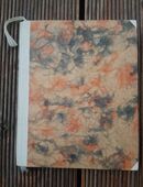 Der Deutsche Spielmann Band IV Hochland 1913 in 82194