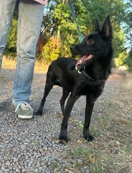 Frutti wünscht sich ein Körbchen - Nordwalde