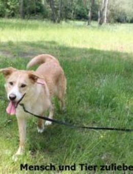 Jule menschenbezogen - Berlin