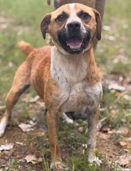 Marko sucht ein schönes Zuhause - Berlin