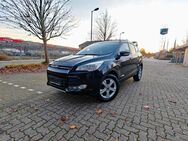 Ford Kuga 1,5 Sync Edition 1 Hand - Norderstedt