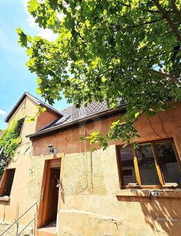 HISTORISCHES HOFENSEMBLE MIT HALLE & WERKSTATT ! - Lörzweiler