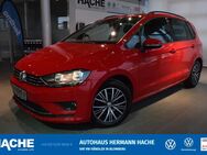 VW Golf Sportsvan, 1.6 TDI Allstar, Jahr 2016 - Blomberg (Nordrhein-Westfalen)