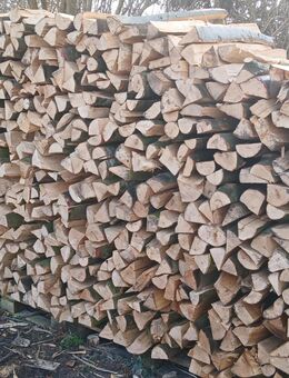 Kaminholz Brennholz - Ostenfeld (Rendsburg)