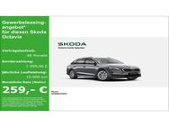 Skoda Octavia, 1.5 TSI COMBI SELECTION 110KW MHEV Februar verfügbar, Jahr 2022 - Neuss