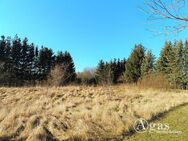 Bauträgerfreies noch zu teilendes ca. 880m² großes Grundstück in Ostseenähe - Gützkow Zentrum