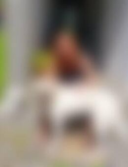 Mon*** - Bad Feilnbach