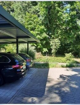 moderne, barrierefreie 3 Zimmer-Wohnung im EG mit Terrasse auf einem ca. 4.550 m² großem Burgberg-Park-Grundstück mit... - Erlangen