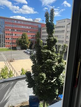 N-Steinbühl - Citynah und dennoch ruhig gelegene, top gepflegte 3-ZW mit Balkon und großzügiger, gut gelungener Raumaufteilung - Nürnberg