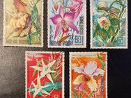 5 Briefmarken Äquatorial Guinea, Blumenmuster, 1974, gestempelt - Leverkusen