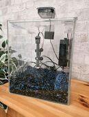 20 liter aquarium in 50374