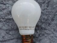 BGW Bildvergrößerungslampe L9 / 75 Watt / Fotospeziallampe / unbenutzt/ OVP - Zeuthen