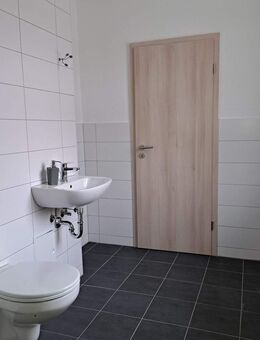 Niedliche Singlewohnung mit Dusche in ruhiger Thalheimer Lage - Thalheim (Erzgebirge)