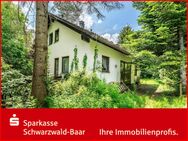 Großes Einfamilienhaus - Furtwangen (Schwarzwald)